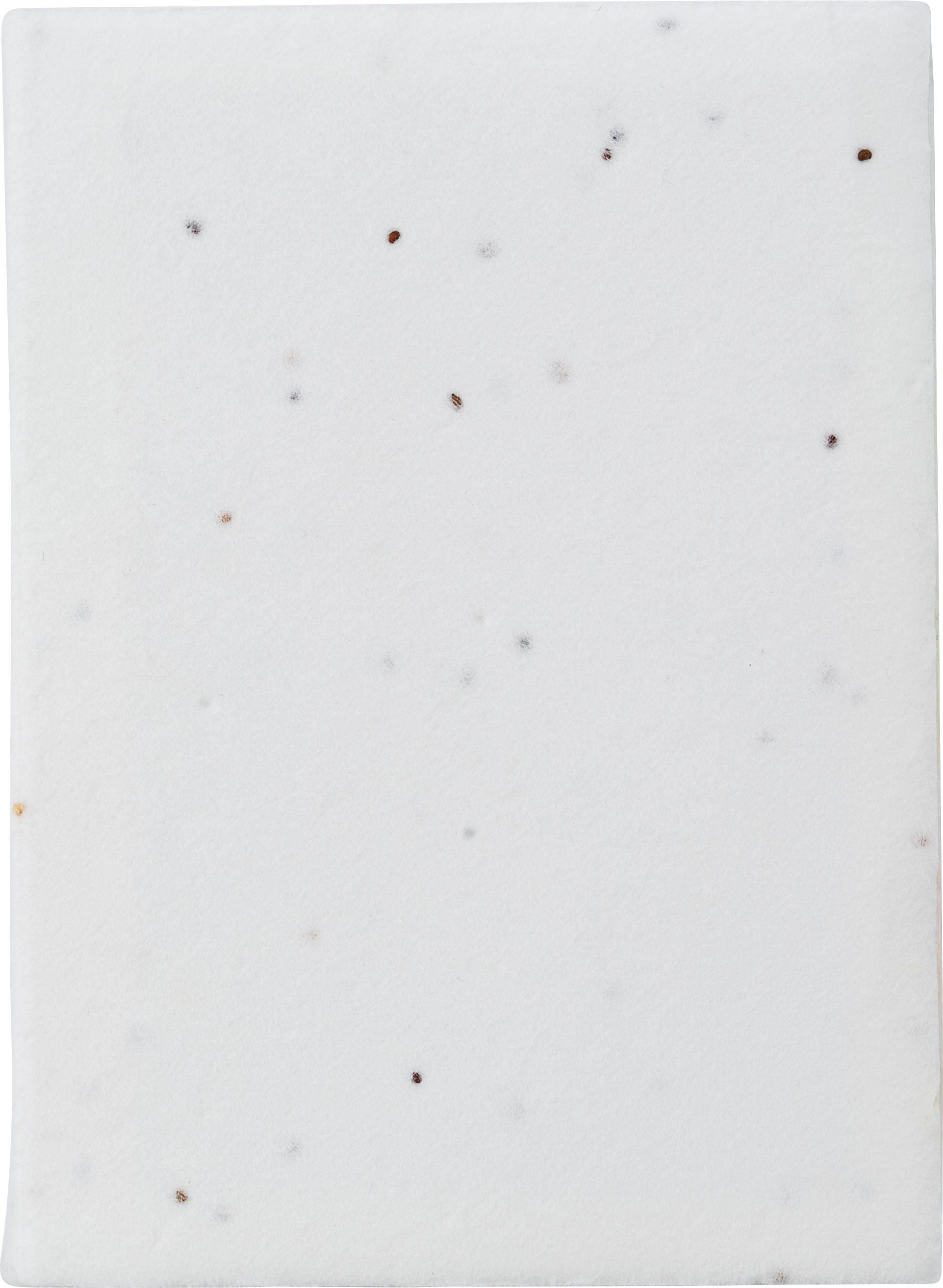 Notitieblaadjes Patricia | Zaadpapier | 6 stuks wit