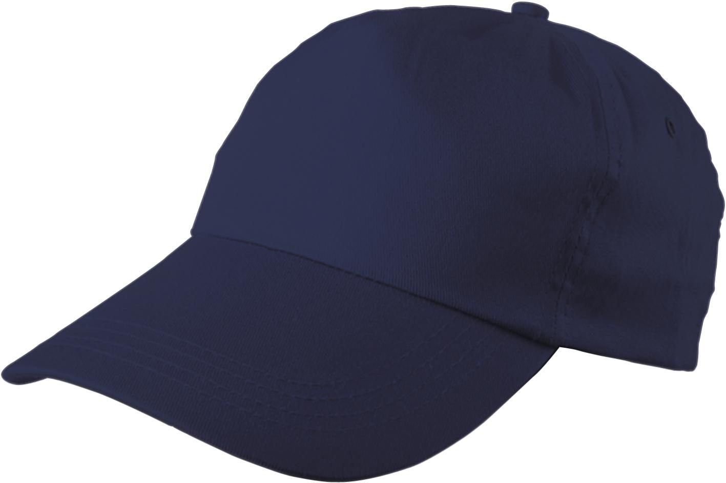 Pet Lisa | Katoenen twill | 5 panels blauw